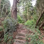 Raincliffe Manor *